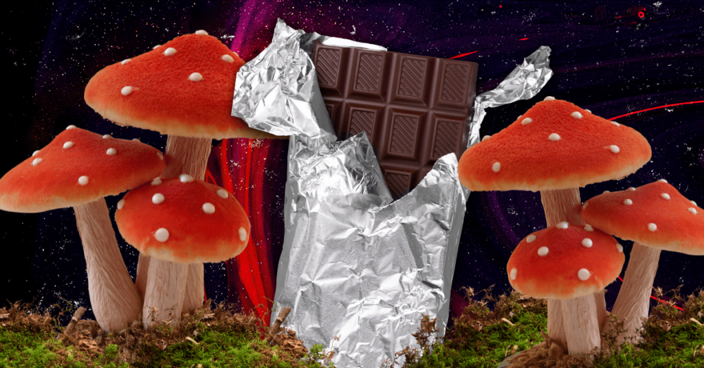 Who Can Buy and Consume Magic Mushroom Chocolates?